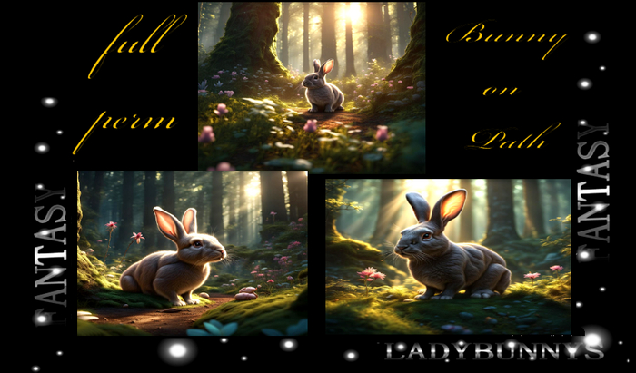 Full Perm Art- Bunny on Path, Easter Card and Easter Art Textures