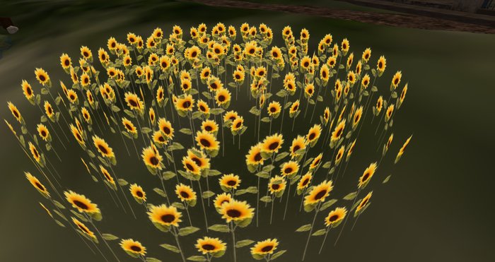 GraTiz Sunflowers