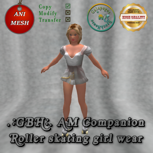 .:GBH:. AM Companion Roller Skating Girl