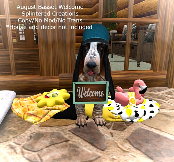 August Basset Welcome