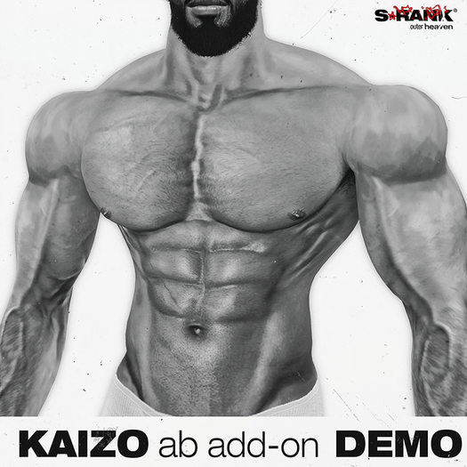 *DEMO* S-RANK "KAIZO" ADD-ON 01 (ABS)