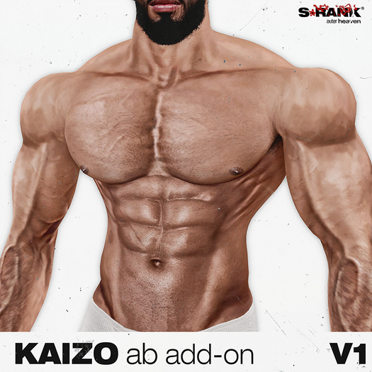 S-RANK "KAIZO" ADD-ON 01 (ABS) V1