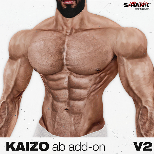 S-RANK "KAIZO" ADD-ON 01 (ABS) V2