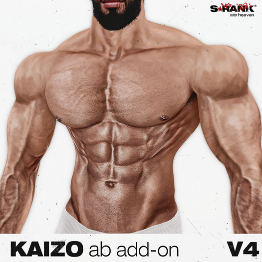 S-RANK "KAIZO" ADD-ON 01 (ABS) V4