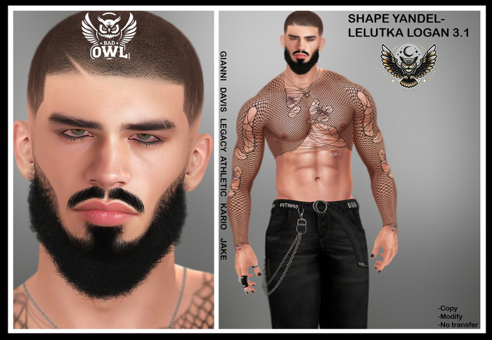 SHAPE YANDEL-LELUTKA LOGAN 3.1