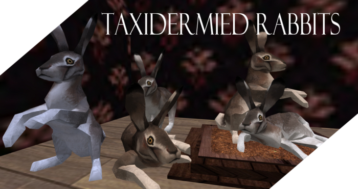 Taxidermied Rabbits