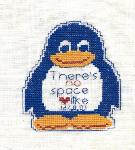 Space Like Home Penguin Needlework Texture