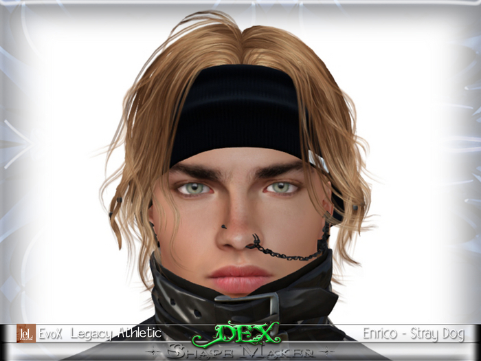 ++SHAPE MAKER++"DEX SHAPE"