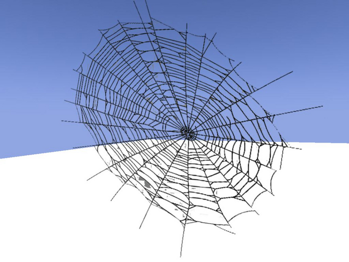 Spiders web 1&2