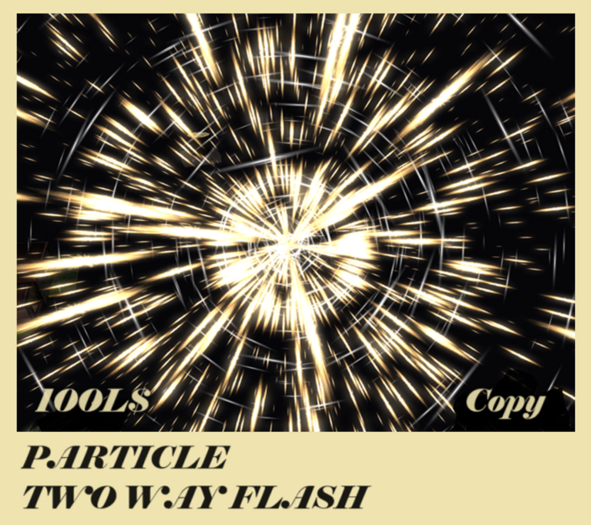 PARTICLE TWO WAY FLASH