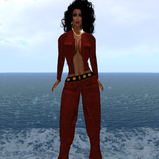Red Leather Pantsuit