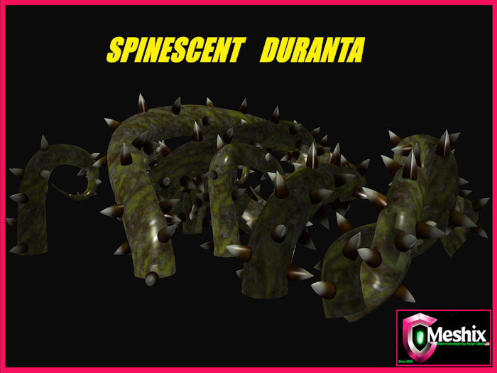 Spinescent Duranta alien plant mesh  (3prims)