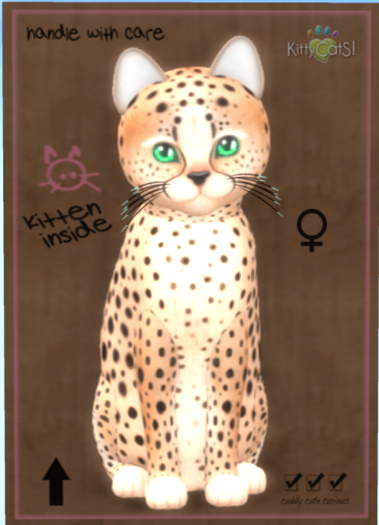 KittyCatS Box - Cheetah! - Au Natural