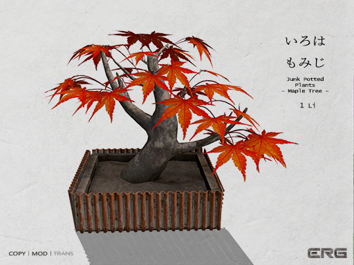 (:ERG:) Junk Potted Plants / Maple Tree