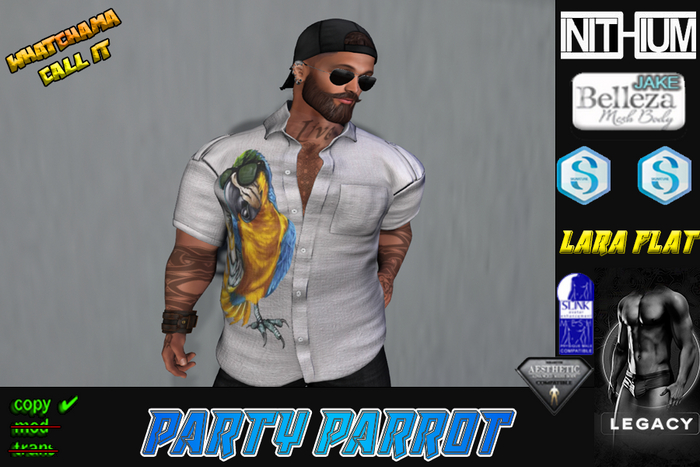 PARTY PARROT DRESS SHIRT Unpack Hud