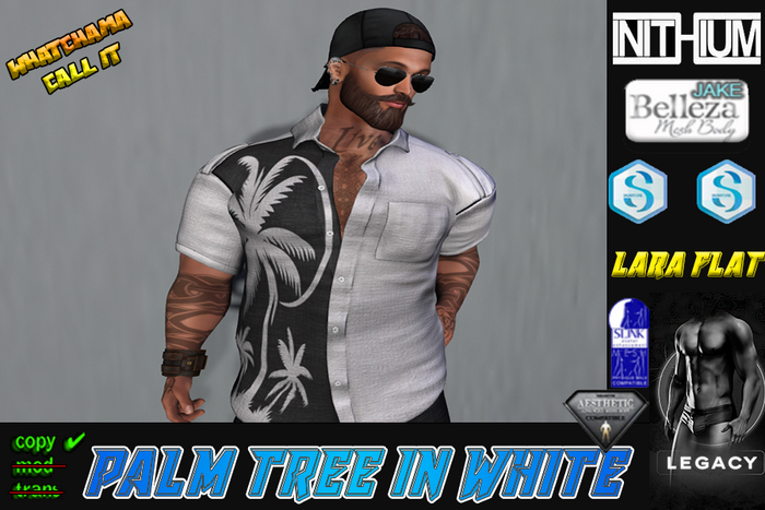 PALM TREE IN WHITE DRESS SHIRT Unpack Hud