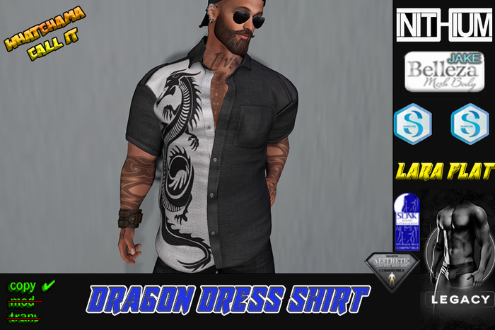 DRAGON SHIRT Unpack Hud