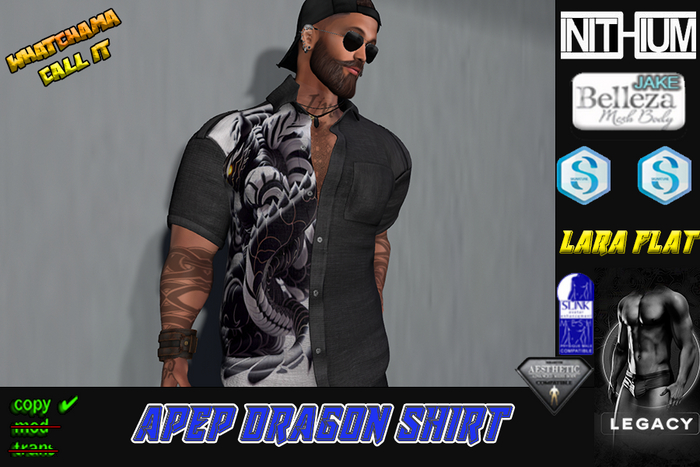 APEP DRAGON SHIRT Unpack Hud