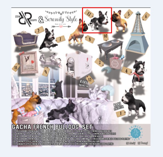 [Rezz Room] Box French Bulldog Laying