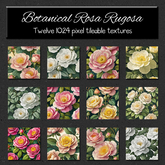 *Wallflowers* Botanical Rosa Rugosa
