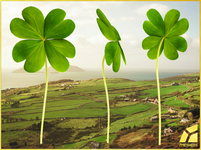 Four-Leaf Clover