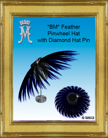 *BM* Feather Pinwheel Hat