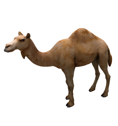 .:shamhat:. aberash character