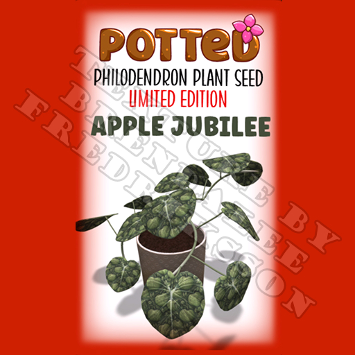 Potted: Starter Philodendron Plant Seed: LE Apple Jubilee (ACTUAL PLANT SEED)