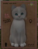 KittyCatS Box - New Born Kitten