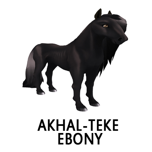 F Akhal Teke Ebony Eye Of Horus