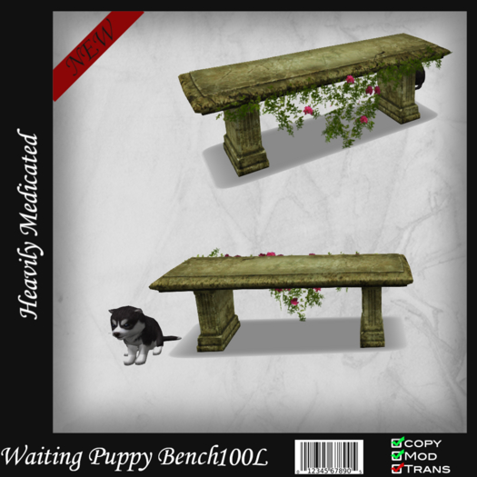 puppy waiting bench