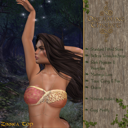 Dreaming Thicket - Zinnea Top & Chain - Persimmon
