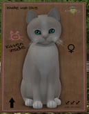 KittyCatS Box - New Born Kitten