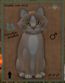 KittyCatS Box - New Born Kitten
