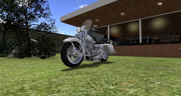 Lion Store - Batedor Harley