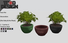 Face Pot [Pot only & Pot plant] [ADD ME]...