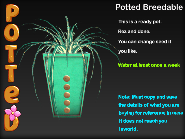 Potted ~ LE Deco Spider Plant Pot - Teal