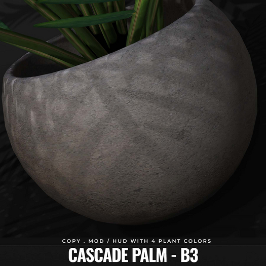 [BL] Cascade palm // B3