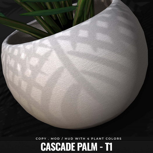 [BL] Cascade palm //  T1