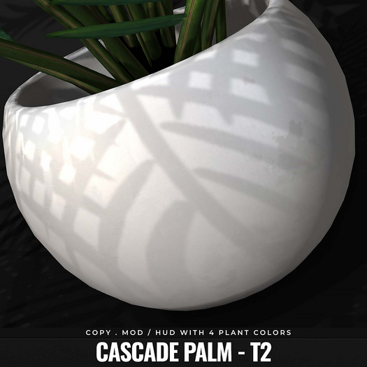[BL] Cascade palm // T2