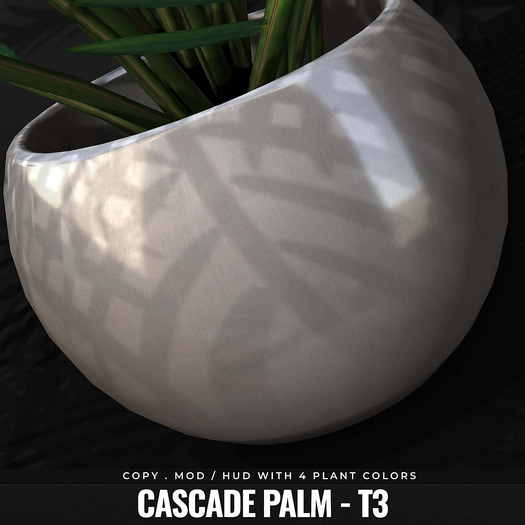 [BL] Cascade palm // T3