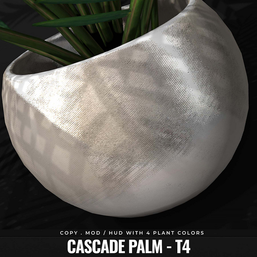 [BL] Cascade palm // T4