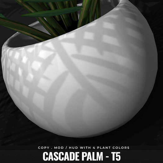 [BL] Cascade palm // T5