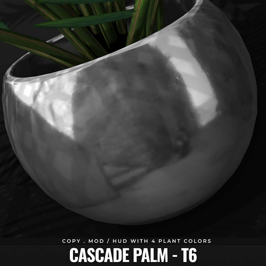 [BL] Cascade palm // T6