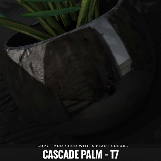 [BL] Cascade palm // T7