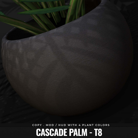 [BL] Cascade palm // T8