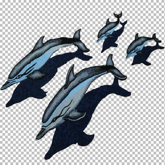 Dolphins