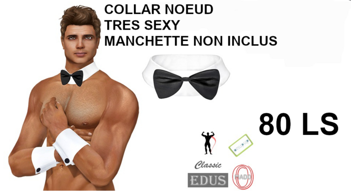 COLLAR NOEUD PAPILLON