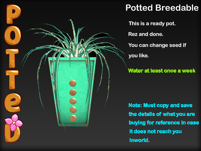 Potted ~ LE Deco Spider Plant Pot - Teal