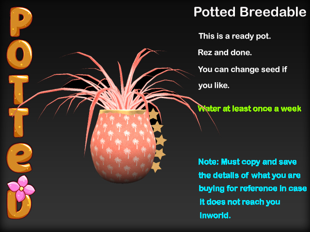 Potted ~ Beach Party Spider Plant Pot - LE Palm Paradise